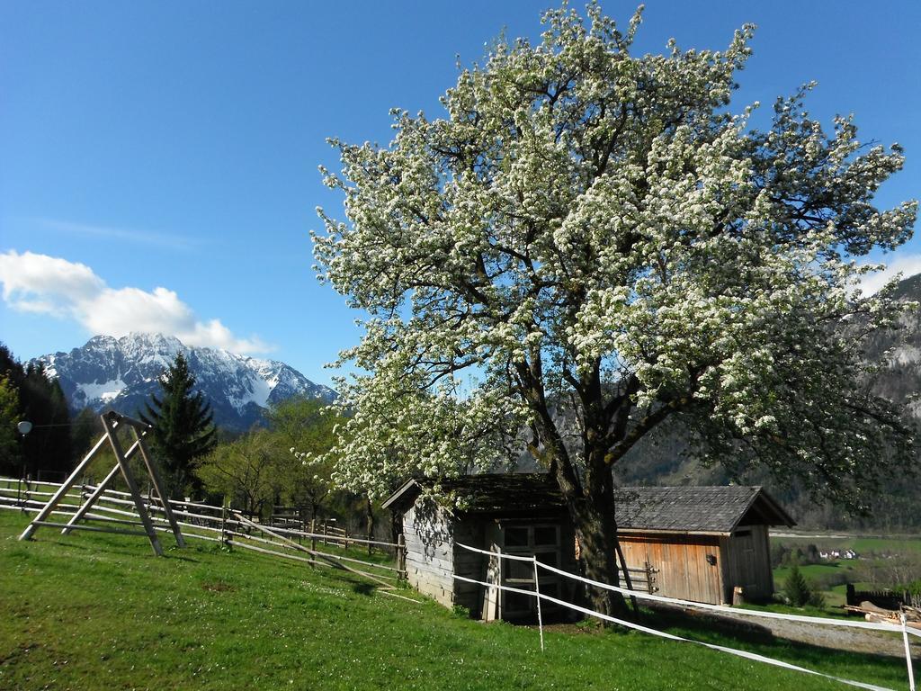 Berghof Thurnergut Spital Am Pyhrn Buitenkant foto