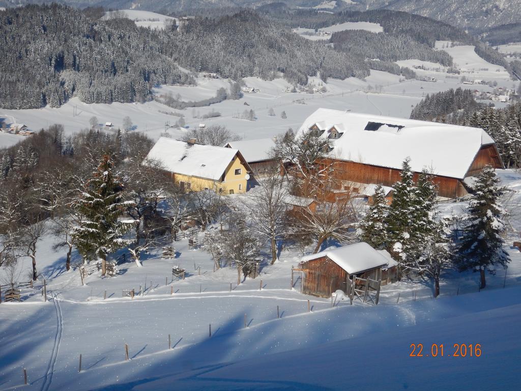 Berghof Thurnergut Spital Am Pyhrn Buitenkant foto